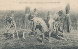 Indo-China Ansichtskarte, Tonkin, -