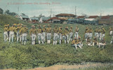 Panama, Ansichtskarte, U.S. Soldiers, -