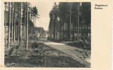 Deutsches Reich, Drittes Reich, Ansichtskarte Fliegerhorst Oschatz, -