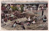Süd Vietnam, Ansichtskarte, Saigon, -