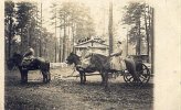 Deutsches Reich Ansichtskarte, Fotokarte -