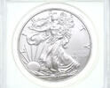 USA 1 Dollar American Eagle - Walking Liberty Type 1 ANACS zertifiziert, inkl. Etui -