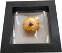 Samoa 5 Dollar 2020 Basketball Spherical Coin, Signature Johann Heeren, 1 oz, Feinsilber neuwertig in OVP