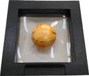 Samoa 5 Dollar 2020 Basketball Spherical Coin, Signature Johann Heeren, 1 oz, Feinsilber neuwertig in OVP