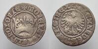 Polen 1/2 Groschen Alexander 1501-1506. -