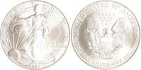 USA 1 Dollar 1999 American Eagle. Stempelglanz 52.79 US$ Tax included +  11.73 US$ shipping
