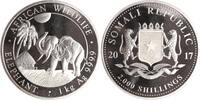 Somalia 2000 Shillings 2017 African Wildlife - Elephant. Proof in Originalkapsel