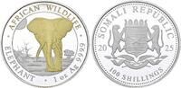 Somalia 100 Shillings 2025 African Wildlife - Elephant - Golden Enigma. ... 741.21 元  ＋  78.02 元 运费