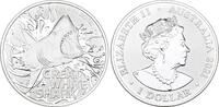 Australien 1 Dollar 2021 Great White Shark. Stempelglanz in Kapsel 109.66 US$  +  11.54 US$ shipping