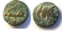 Antike #8420 - Monnaie grecque PISIDIE Psidia RARE -