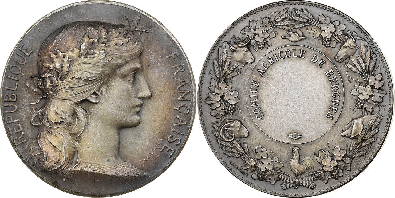 Médaille - Comice Agricole De Château-Chinon (Nièvre) - 1906 - Bronze - SUP