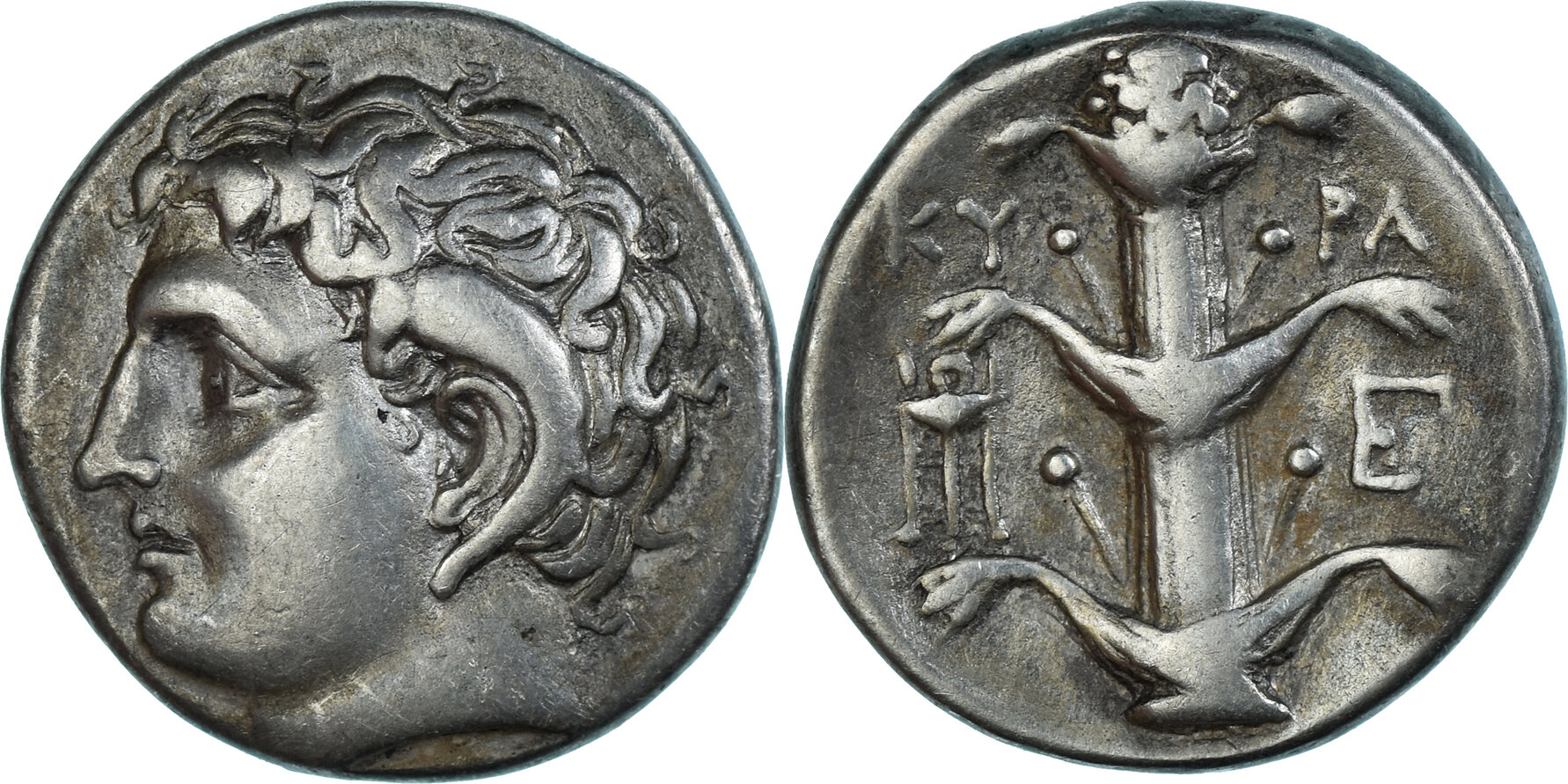 Didrachm ca. 294-275 BC Kyrene Coin, Kyrenaica, Magas, Kyrene, Silver ...