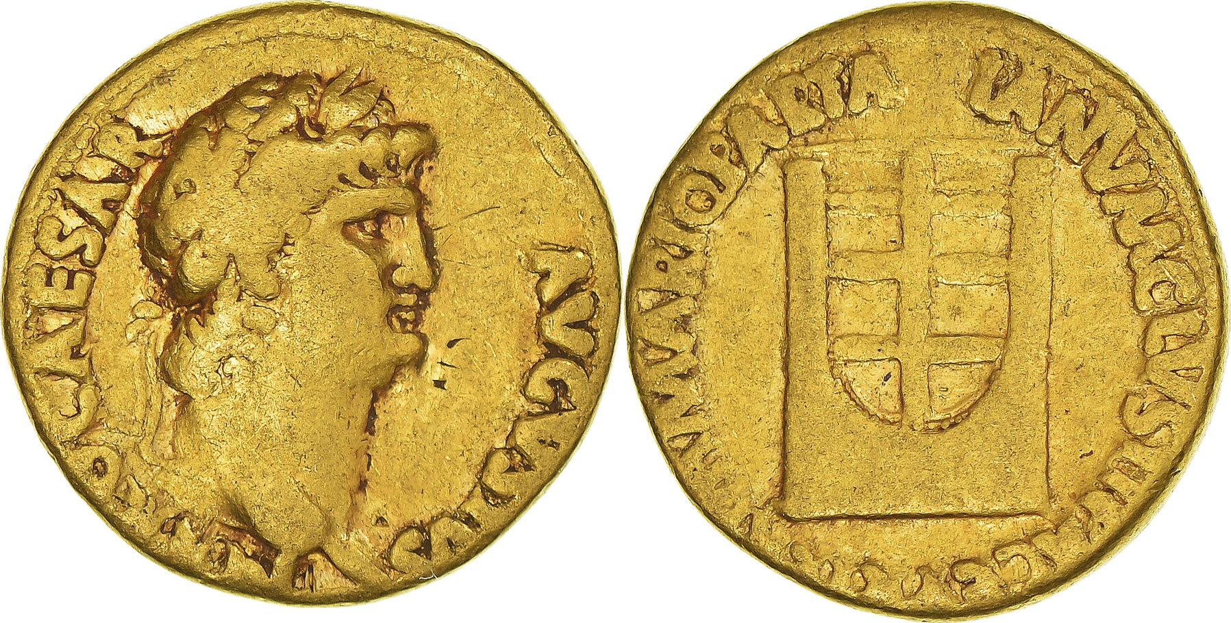 La semilla de oro coin