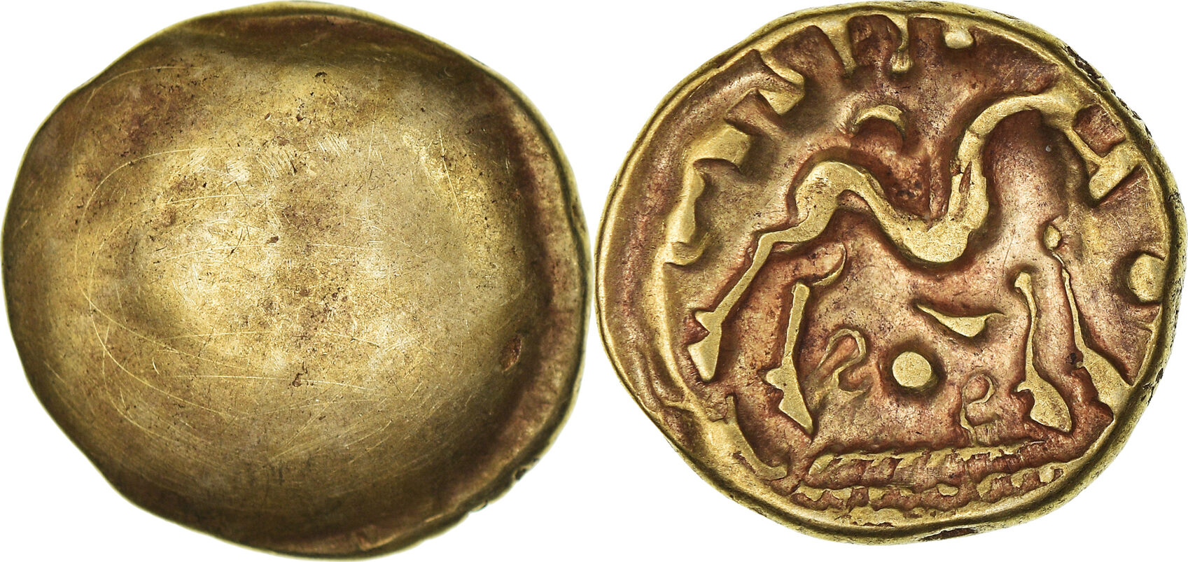 La semilla de oro coin