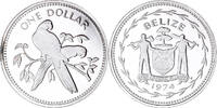 Belize MA Coin shops