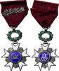 Belgium Medal Ordre de la Couronne, Léopold II, Palme, Excellent Quality -