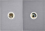Italy 5 Euro Jaguar, Proof, Colourized, Rome, Bronzital -