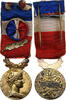 France Medaille Ministère de l'Agriculture, Honneur et Travail, Very Good -