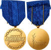 France Medaille Honneur et Fraternité, F.N.D.T, Uncirculated, Gilt Bronze, 36 -