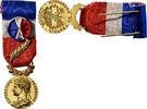 France Medaille Honneur-Travail, République Française, Palme, Excellent -