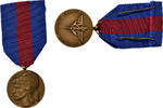 France Medaille Services Militaires Volontaires, Excellent Quality, Bronze, 32 -