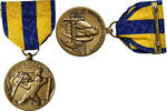 United States Medaille Navy Service, Expedition, Excellent Quality, Bronze -
