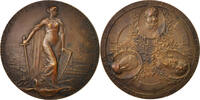 Austria Medaille 100th Napoleonic campaign anniversary, Bronze, Tautenhayn -
