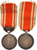 France Medal Medal of Honour for Public Hygiene, Politics, Society, War, XXth -