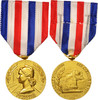 France Medal Médaille d'honneur des chemins de fer, Railway -