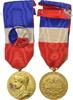 France Medal Ministère du Travail et de la Sécurité Sociale, Very -