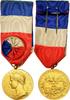 France Medal Médaille d'honneur du travail, Excellent Quality, Borrel -