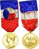 France Medal Médaille d'honneur du travail, Excellent Quality, Borrel -