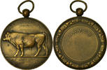 Belgium Medal Agriculture, Amélioration de la Race Bovine, Namur, Dillens -