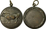 Belgium Medal Agriculture, Amélioration de la Race Bovine, Namur, Dillens -