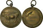 Belgium Medal Agriculture, Amélioration de la Race Bovine, Namur, Dillens -