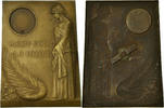 Belgium Medal Mort pour la Patrie, Politics, Society, War, Witte -