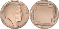 France Medal The Fifth Republic, Politics, Society, War, Bronze -