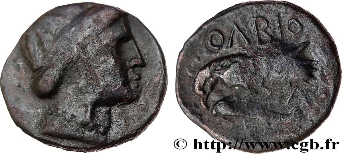 Classic 1 (480 BC to 400 BC) Dauphin SARMATIA - OLBIA Olbia