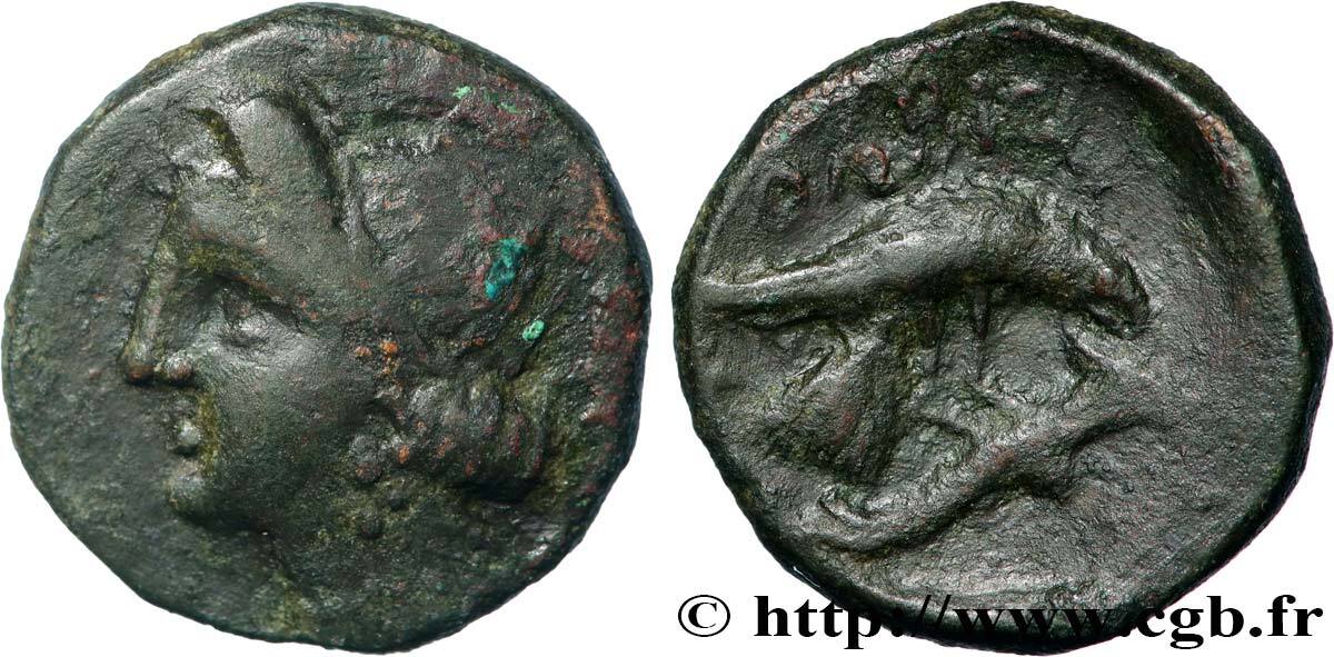 Classic 1 (480 BC to 400 BC) Dauphin SARMATIA - OLBIA Olbia