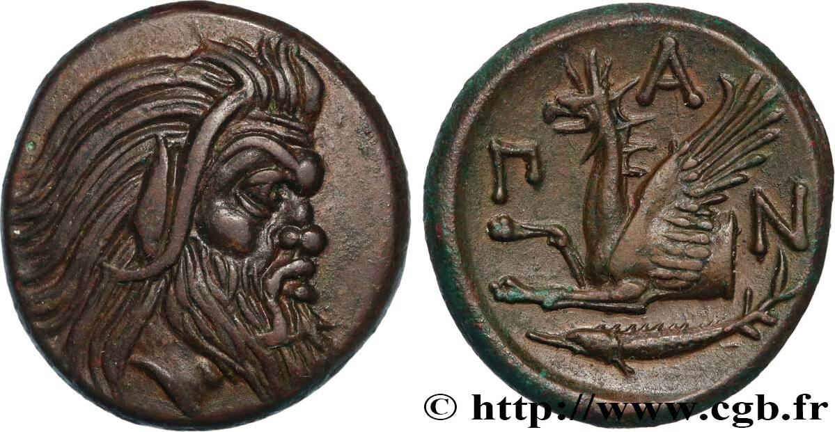 Пантикапей монеты перисад. Монеты пантикапея сатир. Монеты сатир. Монеты сатир. Грифон на монетах боспора.