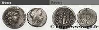 Lot LOTS (mm, g, h) -