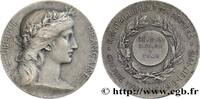 FRANCE Médaille, Ravitaillement des armées PREMIÈRE GUERRE - WWI 1914-1918 (35,5mm, 21,29g, 12h) -