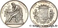 FRANCE Médaille, Université de Genève UNIVERSITÉS n.d. (41mm, 27,49g, 12h) -