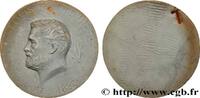 FRANCE Médaille, Louis Pasteur SCIENCES & SCIENTIFIQUES (1822) (144,5mm, 216,85g, 12h) -