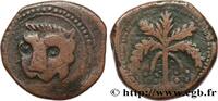 THE ORIENTAL WORLD (ARABO-BYZANTINE, CILICIA, ARME Trifollaro ITALY - SICILY - MESSINA - WILLIAM II Messine 1166-1189 (22,5mm, 10,77g, 12h) -