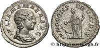 THE SEVERANS (193 AD to 235 AD) Denier JULIA MAMAEA Rome 222 (20mm, 2,72g, 1h) -