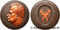 FRANCE Médaille, Étienne Wolff, n°5 SCIENCES & SCIENTIFIQUES Monnaie de Paris 1981 (75,5mm, 207,91g, 12h) -