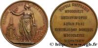 FRANCE Médaille, Fontaines publiques MONUMENTS 1867 (44,5mm, 43,15g, 12h) -
