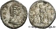 THE SEVERANS (193 AD to 235 AD) Denier JULIA DOMNA Rome 202 (19,5mm, 2,87g, 6h) -