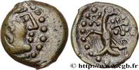 FRANCE Bronze “aux oiseaux et au serpent” GALLIA - CARNUTES (Beauce area) Chartres (28) Ier siècle avant J.-C. (16mm, 2,78g, 8h) -